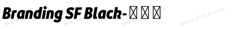 Branding SF Black字体转换